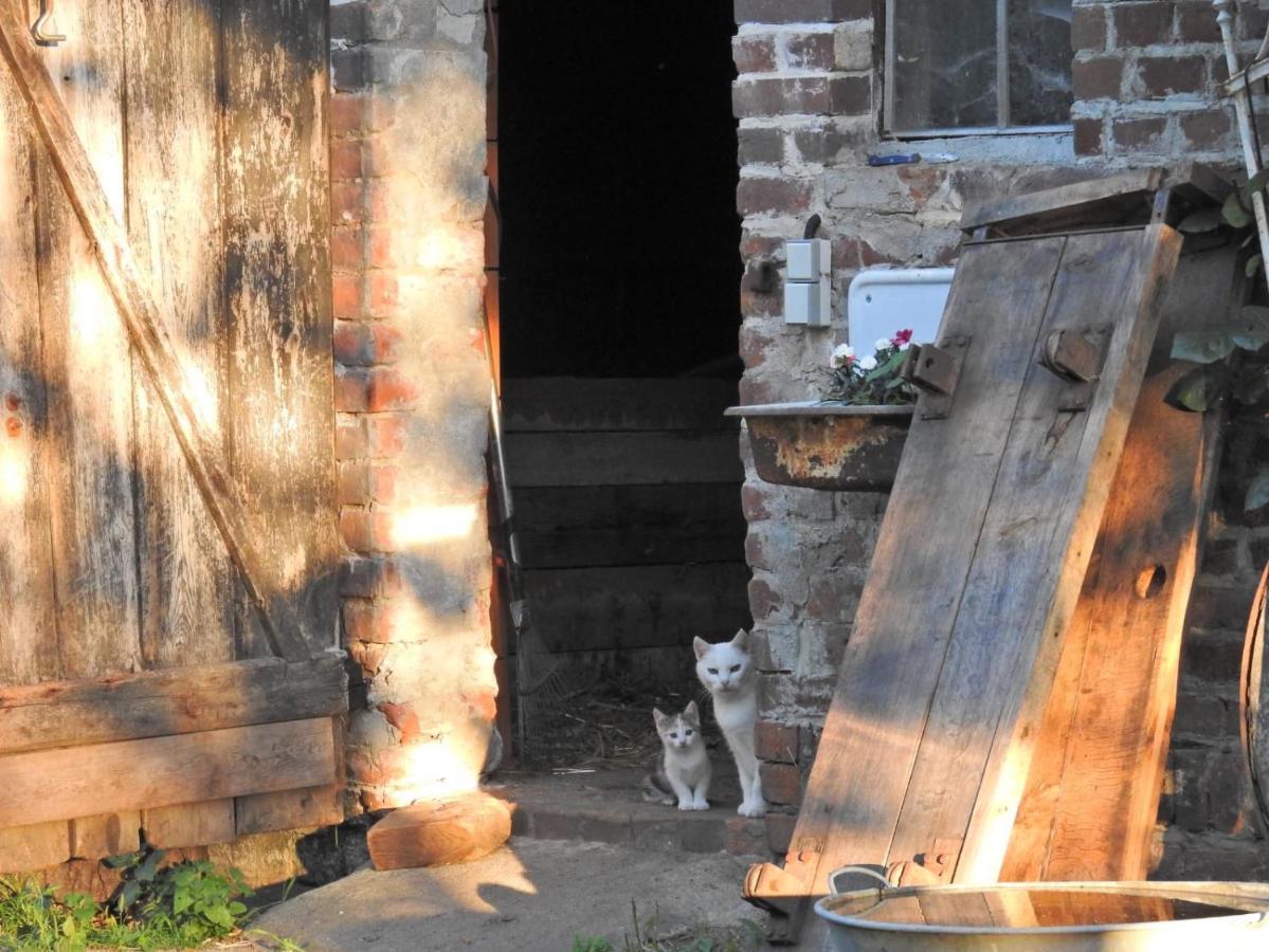 Storchenhof Appartement Schmogrow Buitenkant foto